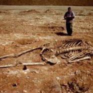 Egy óriás csontvázára találtak régészek