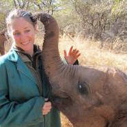 Álommeló: elefántbébiket ápol a fiatal nő