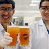 Probiotikus sört állítottak elő szingapúri kutatók
