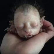 Szörnyszülöttek - 5 emberi arccal született állat