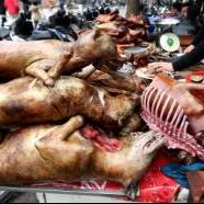 Kutyahússal ünneplik Vietnámban a holdújévet